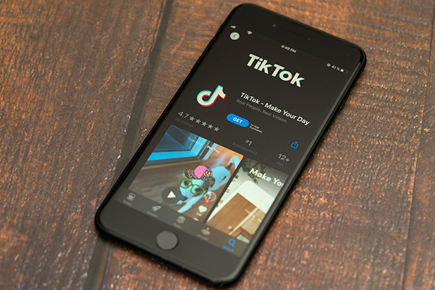 TikTok Influencer Marketing in India - BlogWeet