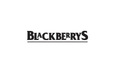 BlogWeet work with Blackberys